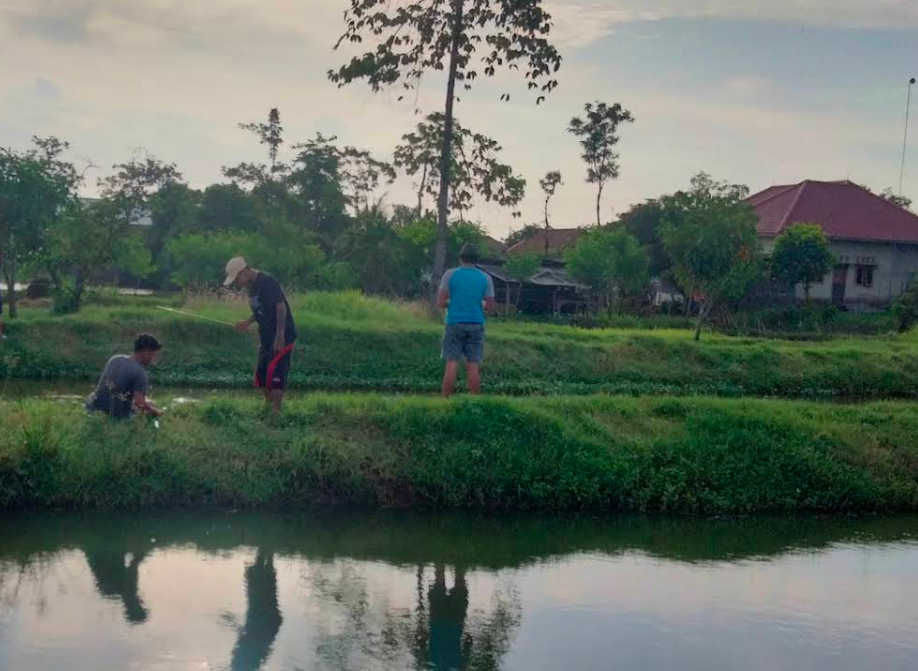 EMPANG GURAME FERAL BRAMASTA